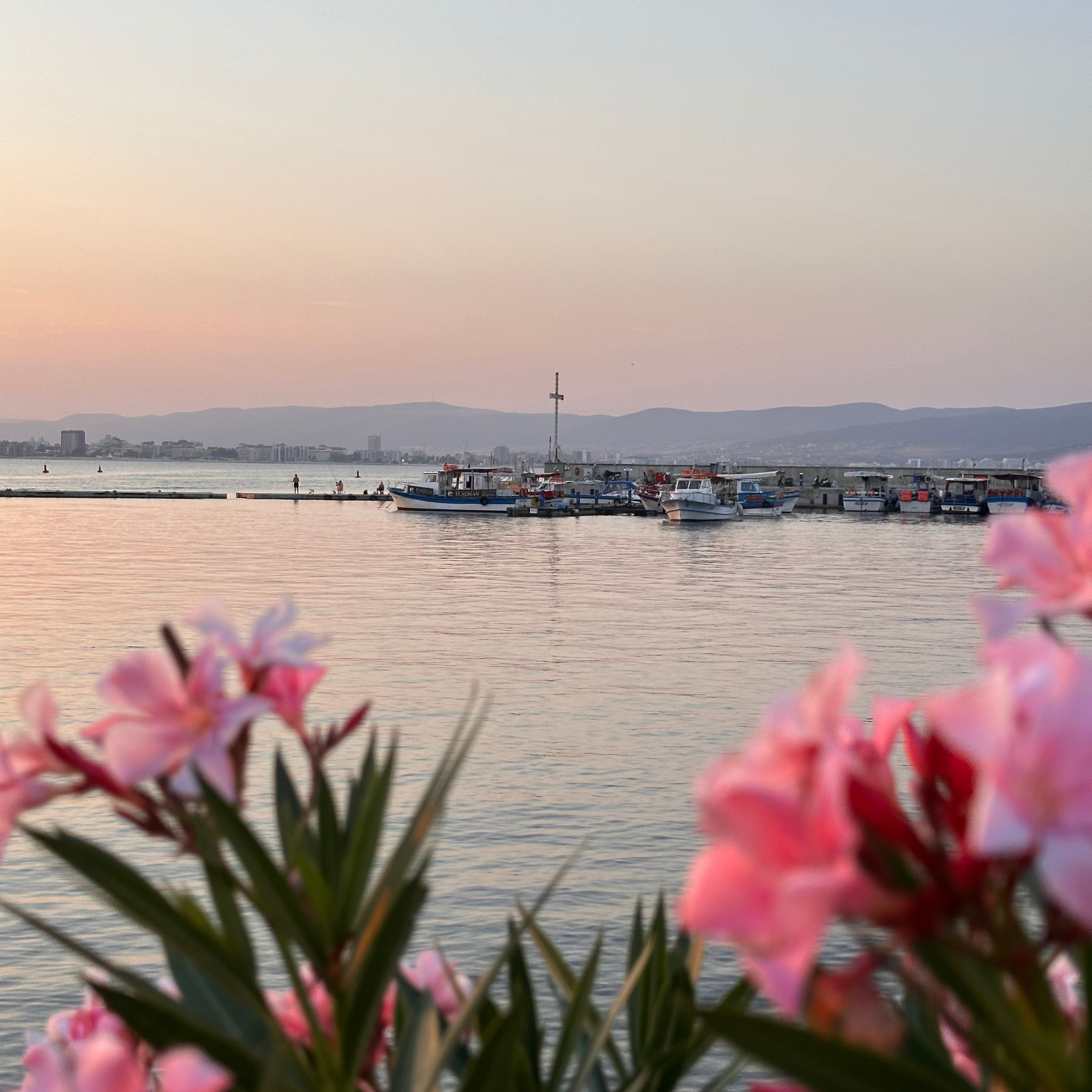 2 Immobilien Bulgarien Sveti Vlas LeSar Immobilien